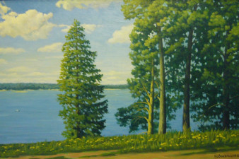 Вид на Бородаевское озеро, 2005